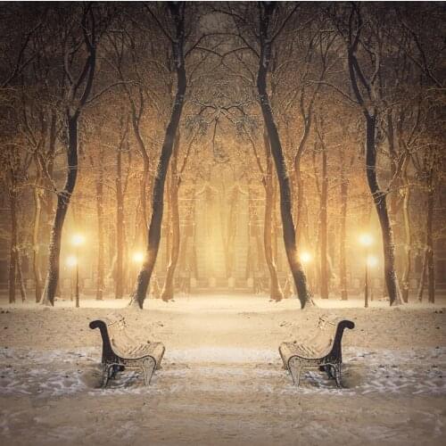 High Spray Hight Quality Printed Decoration Art Beautiful Winter Night View Picture Forest Wall Stickers