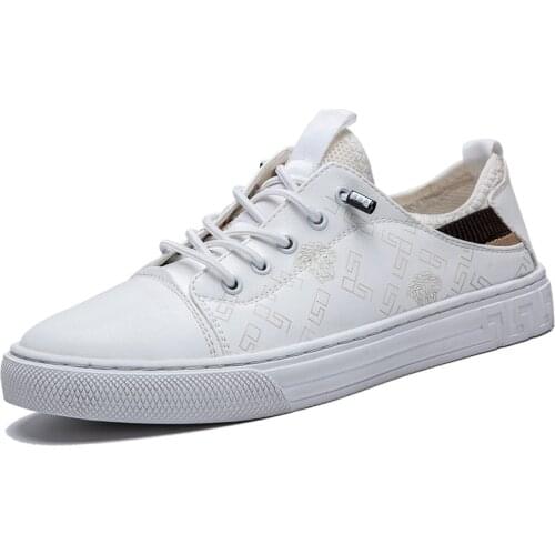 Men Classical Sneakers Leisure Low-Top Trend Shoes Spring Outdoor Soft Insole Canvas 2021 New Brand Luxury Designer 39-44 Euro