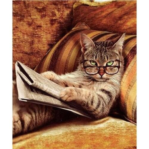 Square Cute Cat 5D DIY Diamond Painting Kit Cross Stitch Paintings Animal Diamond Embroidery Rhinestone Needlework Home Decor
