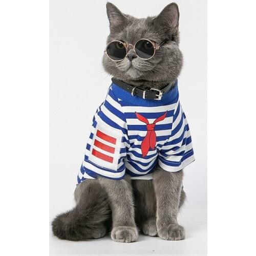 Pet Cat Clothes Autumn Winter Sweater Creative Clothing Cat for Common Dogs Leisure luxury dog clothes puppy clothes pet clothes