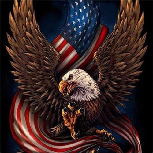 DIY 5D Diamond Painting by Number Kits,Full Drill Crystal Rhinestone Embroidery Pictures Arts Wall Decor Eagle & American Flag