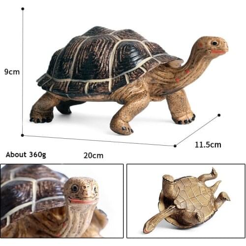 New Styles Original Wild Animals Geochelone Model Action Figurines Miniature Collection Toy For Kids