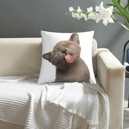 Cat pattern print Cushion Cover Decorative Pillowcase Chair Seat Square Car Pillow Cover Home Living Textile