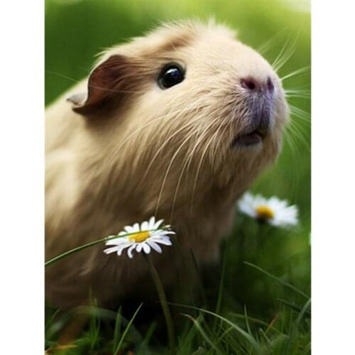 Diy Diamond Painting Animals Cute Guinea Pig Cross Embroidery cross Stitch Kits Drill Full Rhinestone painting NeedleworkZP-815
