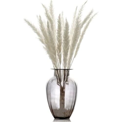 15pcs Natural Dried Small Pampas Grass White/Pink Color Wedding Flowers Decor Reed Bouquet Artificial Flowers Bleach Retro Style