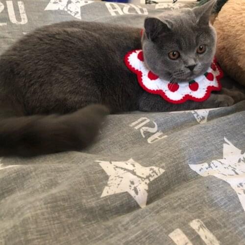 Strawberry Cat Dog Collar Bibs Sweet Bell Dog Necklace Floral Pet Scarf Cute Kitty Accessories For Small Medium Kittens