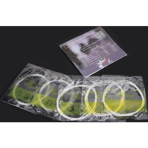 IRIN 10pcs/set 0100 Oud Strings Clear Nylon String Silver Plated Copper Alloy Wound