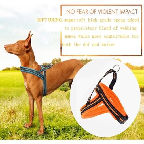 Dog Leash Adjustable Vest Belt Reflective Medium and Large Dog Chest Strap Pet Supplies