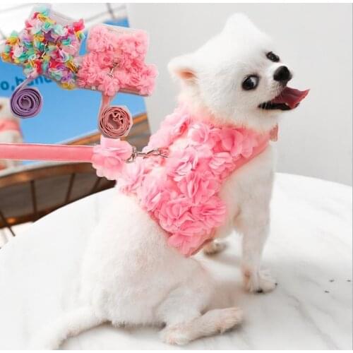 Small Dog Harness and Leash Set Pet Cat Vest Harness With Beautiful flowers Padded For Small Puppy Dogs Chihuahua Yorkies Pug