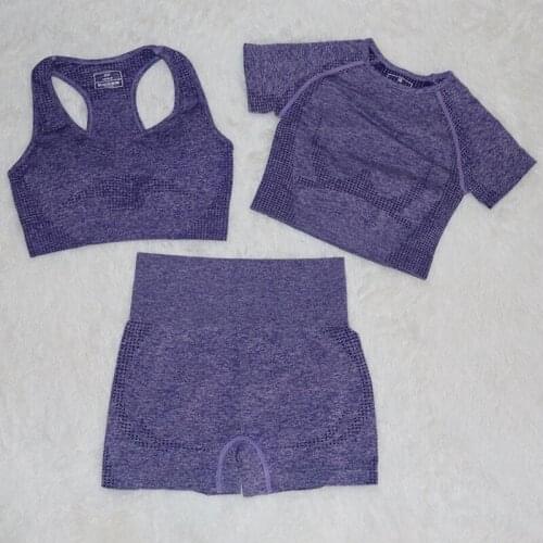 New 3 PCS Women Summer Seamless yoga set Fitness Sports Suits GYM Clothing Yoga Top T-Shirts+High Waist shorts+Bra Workout suit