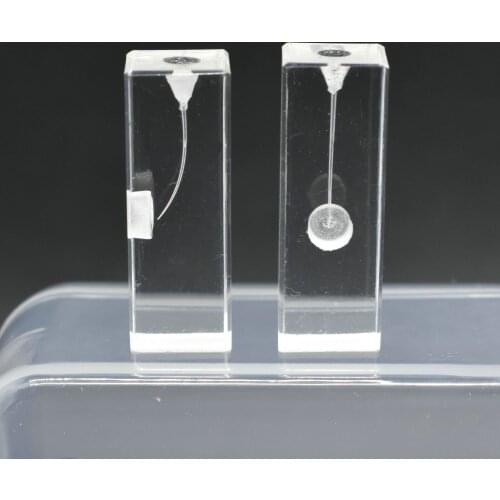 Dental Endo Root Canal Model Training Block Endodontics Student Teaching Model Practice Model Dentistry