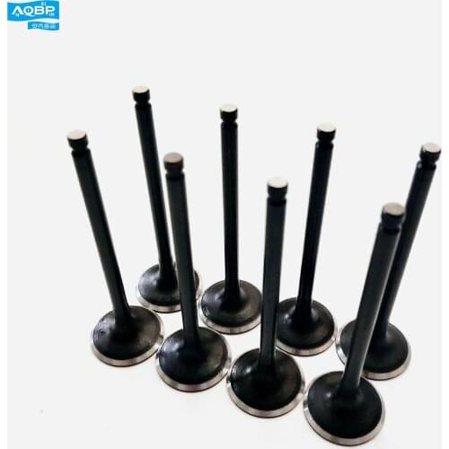 Car parts OE number 1003202GA for JAC Refine Rein Intake valve