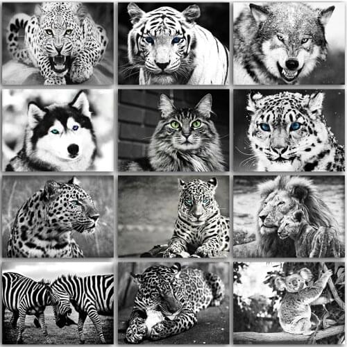 5D DIY Diamond Painting Kit dark animal horse Wolf dog cat tiger leopard Full Square&Round embroidery mosaic Cross stitch Paint