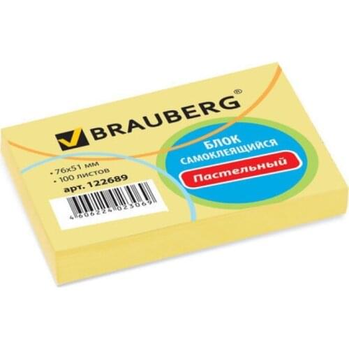 BRAUBERG Diaries
