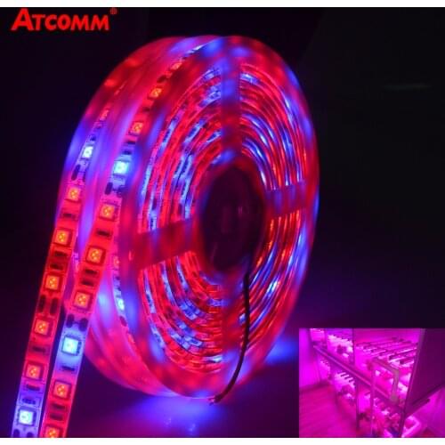 LED Phyto Lamp Strip Light SMD 5050 5 Meters Full Spectrum Grow Lights DC 12V Fitolampy Bulbs For Plants Seeds Flower Lighting
