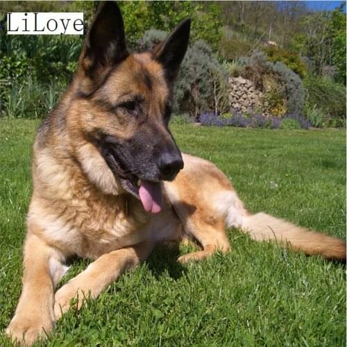 LI LOYE DIY Diamond Embroidery Animal wolfhound Mosaic Crystal Picture Rhinestone Cross-Stitch Kit Mosaic Painting Decor FZ423