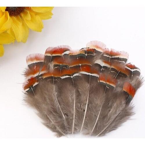 Natural Pheasant Feathers for Craft Or Jewelry Making Christmas Holiday Decoration Plumes Plumas
