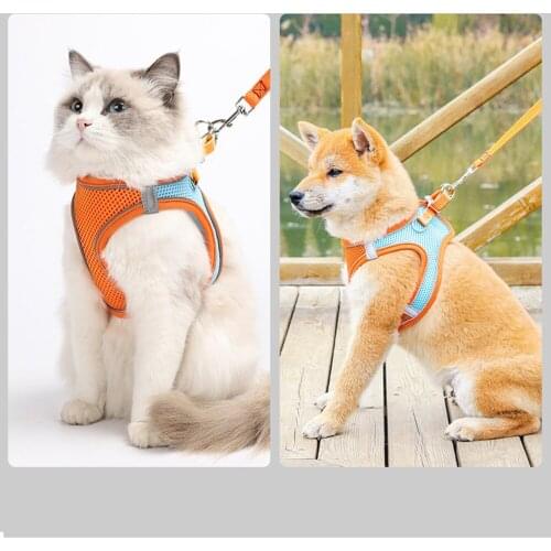 Reflective Strip Kitten Puppies Harness Breathable Mesh Chest Strap Pet Vest Type Traction Rope Puppy Teddy Walking Leads