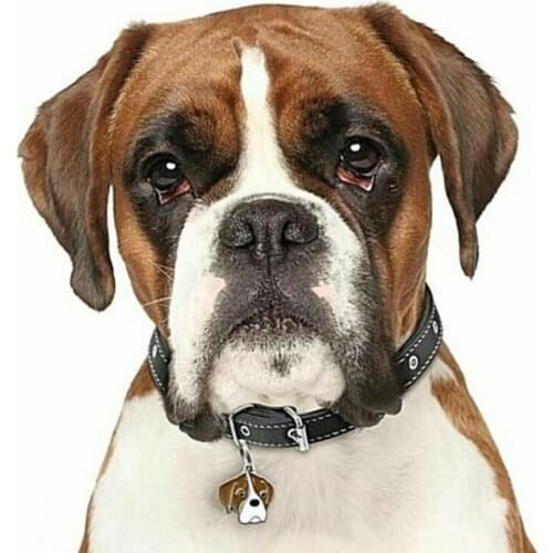 Dog Tags Address Tag For Dog Dog ID Name Collar Tag Pendant Tag For Dogs Pet Dog Collar Id Pet Tag Accessories #2