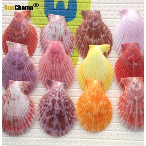 10pcs/Lot Mediterranean Style Colorful Shell Conch Craft Raw Material Dongfeng Shell Handmade Marine DIY Home Decor Color Random