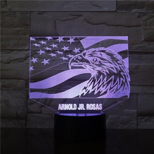 3D Lamp The American flag National bird battery powered color changing with remote for bedside decoration led night light lamp