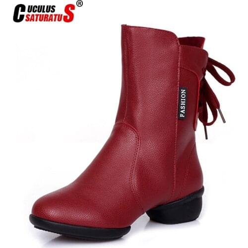 Cuculus 2020 Autumn Winter Shoes Women Winter Boots Soft Leather Warm Plush for Cold Winter Fashion Womens Ankle Boots 1102