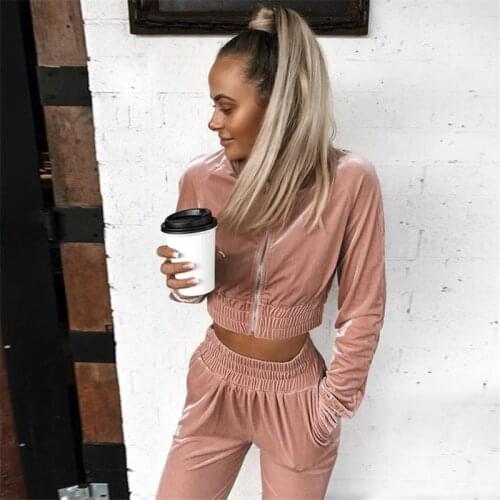 2019 Autumn Winter New 2pcs Velvet Tracksuits Women Zipper Sweatshirt Tops and Elastic Waist Pants Outfits Soft Suit