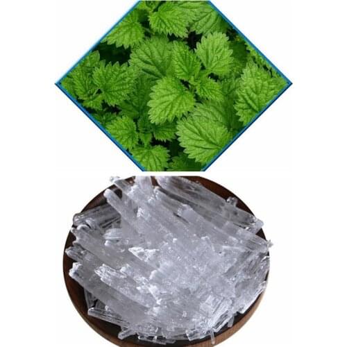 Wholesale High Quality Mint Ice Algefacient Menthol DIY Makeup Cosmetic Raw Material with Fragrance