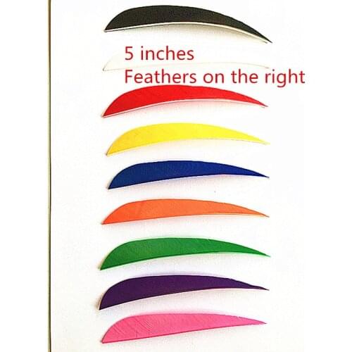 50pcs true feather right type 5 inches 9 colors suitable for homemade wood. Bamboo. Carbon. With archery hunting use
