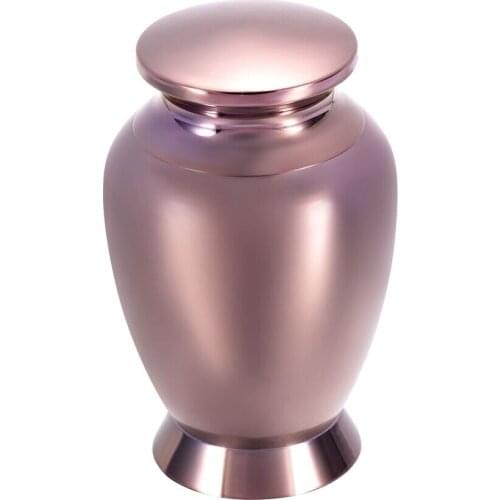 Engraved Pigeon Cremation Urn for Ashes Memorial Jewelry Urn for Dog/Cat Coffee Gold Urn Jewelry for Ashes