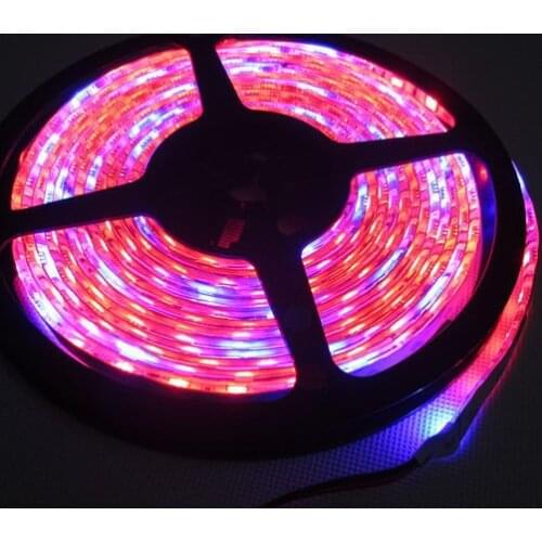 HCSOYES LED Plant Lamps