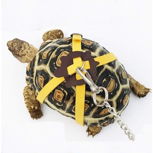 Pet Turtle Traction Belt Control Rope Training Belt Walking Lead Pet Supplies for Small Pet Tortoise