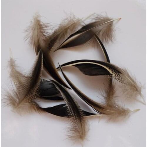 Wholesale 10 pcs Beautiful Natural Pheasant Feathers 10-15 cm/4-6 inch DIY Jewelry Clothing Hat Christmas Holiday Decoration