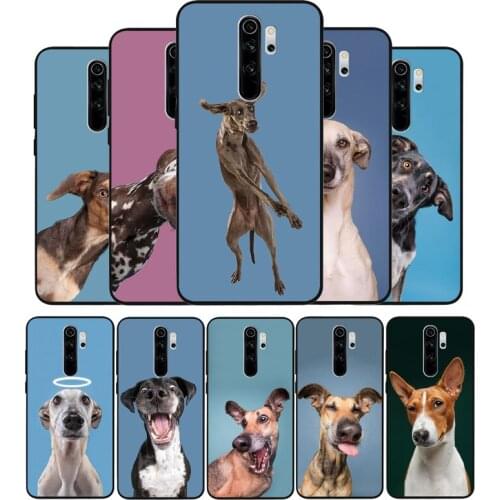Cute funny dog Black TPU Silicone Soft Phone Case For Redmi 4A 4X 7A 5 Plus 6 Pro NOTE 9 7 8 5 Pro 4 6