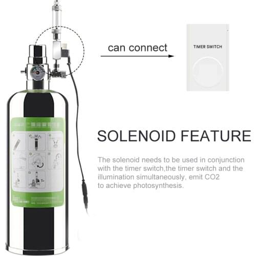 2L Double Aquarium CO2 Generator System Kit CO2 Cylinder Generator System with Solenoid Valve Bubble Diffuser Carbon Dioxide