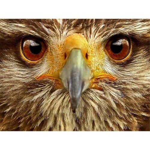 Full Square/Round Diamond Painting New Arrival Beautiful Owl Face Handmade Gift Diamond Embroidery Animal Home Decor