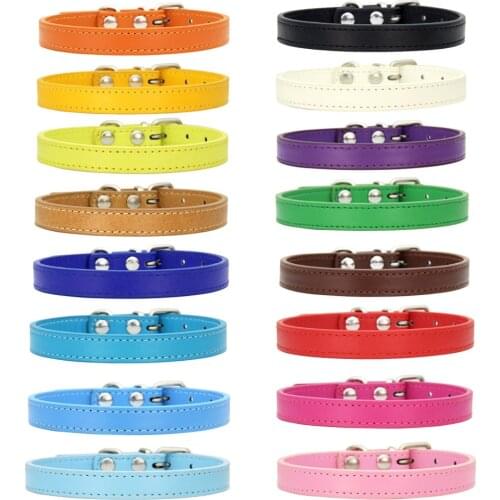 I have a date with pet Collars For Cats