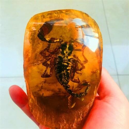 10cm natural amber beeswax raw stone insect display Scorpion. Butterfly. Cicada