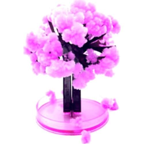 New 12*8cm Made in Japan Pink Magically Decorative Growing Paper Trees Magic Japanese Sakura Tree-Brand