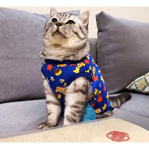 Pet Cat Clothes for Cats Sphynx Soft Coat Jackets for Outing Cute Cartoon Cat Costumes Autumn Winter WarmPets Clothing