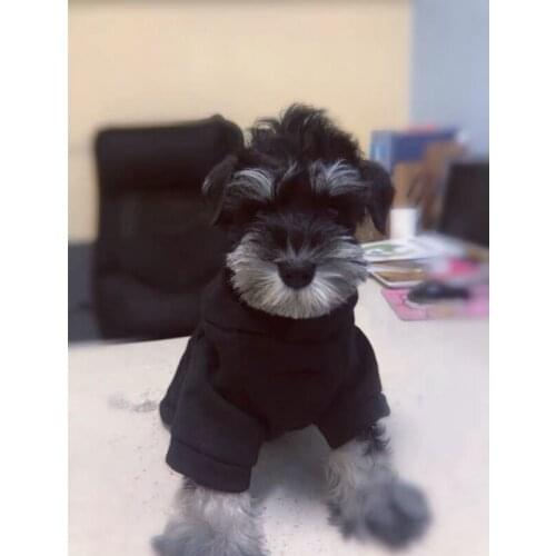 New Style Winter Warm Hoodie Pet Dog Clothes Puppy Jacket Coat For Small Medium Dogs Schnauzer Chihuahua Pug Dropshipping ZLC20