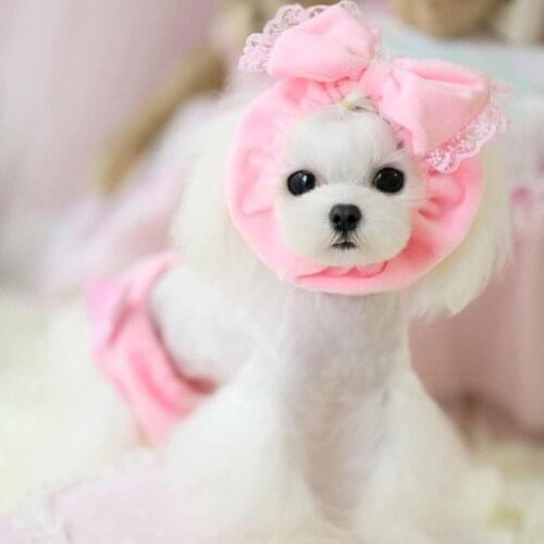 Cute Pet Dog neck warmer Cat Headgear Scarf With Bow Small Dog Cat Shower Cap