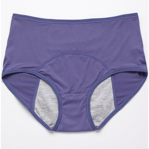 55-150kg Plus Size Extra Large Panties mesh Sexy Underwear Women High Waist Ultrathin Breathable Triangle Shorts Lingerie