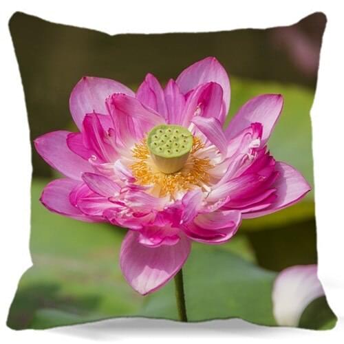 Rose red lotus green lotus root Square Cushion cover Cotton polyester for bedroom/chair/car/sofa seat 16 18 20 inches 9 style