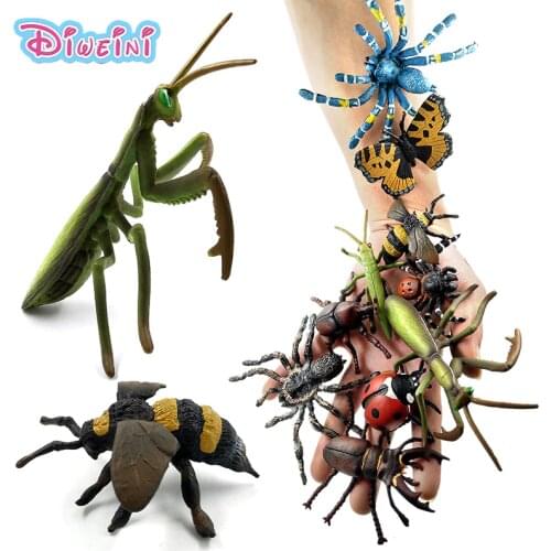 Simulation animal model insect Spider honeybee ladybird Mantis butterfly decoration action figure Educational Toy Gift For Kids