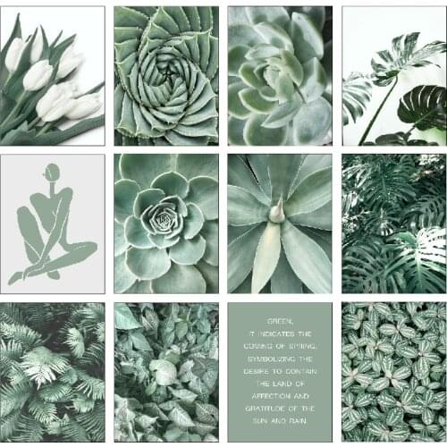 White Tulip Green Aloe Monstera Palm Poster Plant Art Canvas Painting Nordic Poster And Prints Wall Pictures For Home Decor