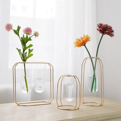 Terrarium Nordic Hydroponic Plant Vase Iron Line Glass Vases Flower Pot Container Office Desktop Home Decoration Modern jarrones