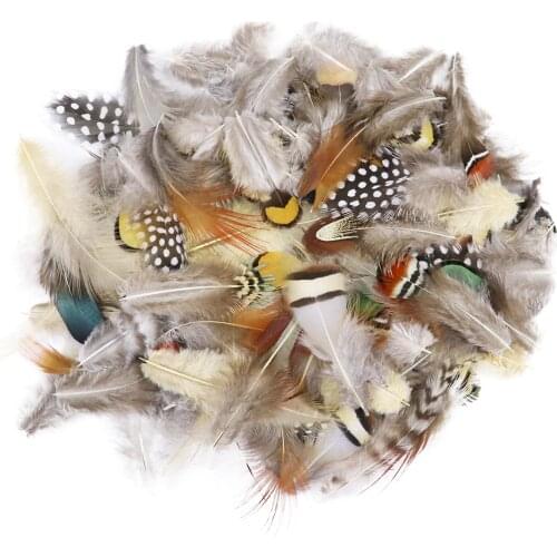 50Pcs/Pack Mixing Natural Pheasant Feathers for Crafts DIY Jewelry Making Accessories Small Chicken Plumes Decoration Wholesale