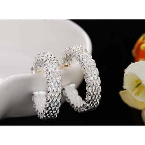 925 Sterling Silver Earrings, Fashionable Mesh Earrings, Jewelry Gifts For WomenS Parties