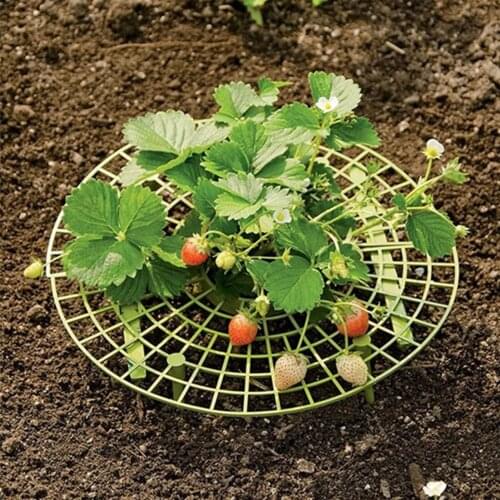 10PCS Strawberry Stand Frame Holder Balcony Planting Rack Fruit Support Gardening Stand Strawberry Planting Frame